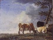 Three Cows in a Pasture, POTTER, Paulus